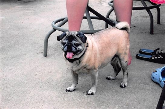 Glenda Kinder - Photo 92