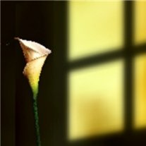 Charline "Bill" Copes Childress - Photo 2