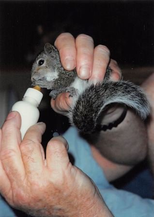 Horace Lloyd Craig - Photo 129