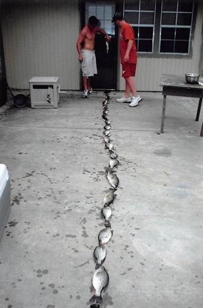 Destin Paul McKay - Photo 253