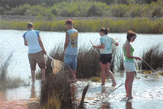 Destin Paul McKay - Photo 263