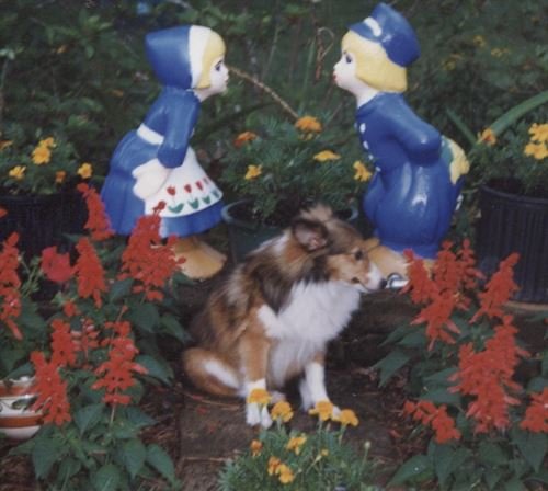 Olan Ray Sanders - Photo 14