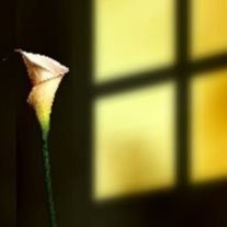 Howard J. Casto - Photo 2