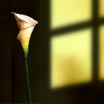 Rayford Norris Spurgeon - Photo 2