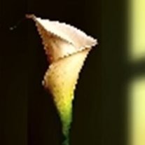 Millie Gordy - Photo 2