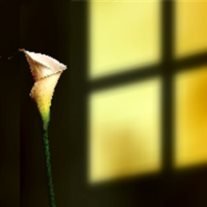 Rose Lopez - Photo 2