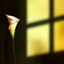 John (JR) Broussard - Photo 3