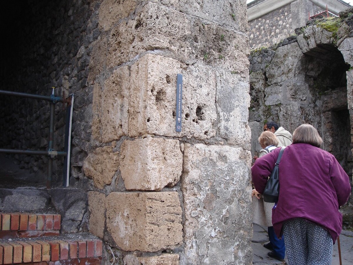 Janelle Wallace Ramsey — photo 20