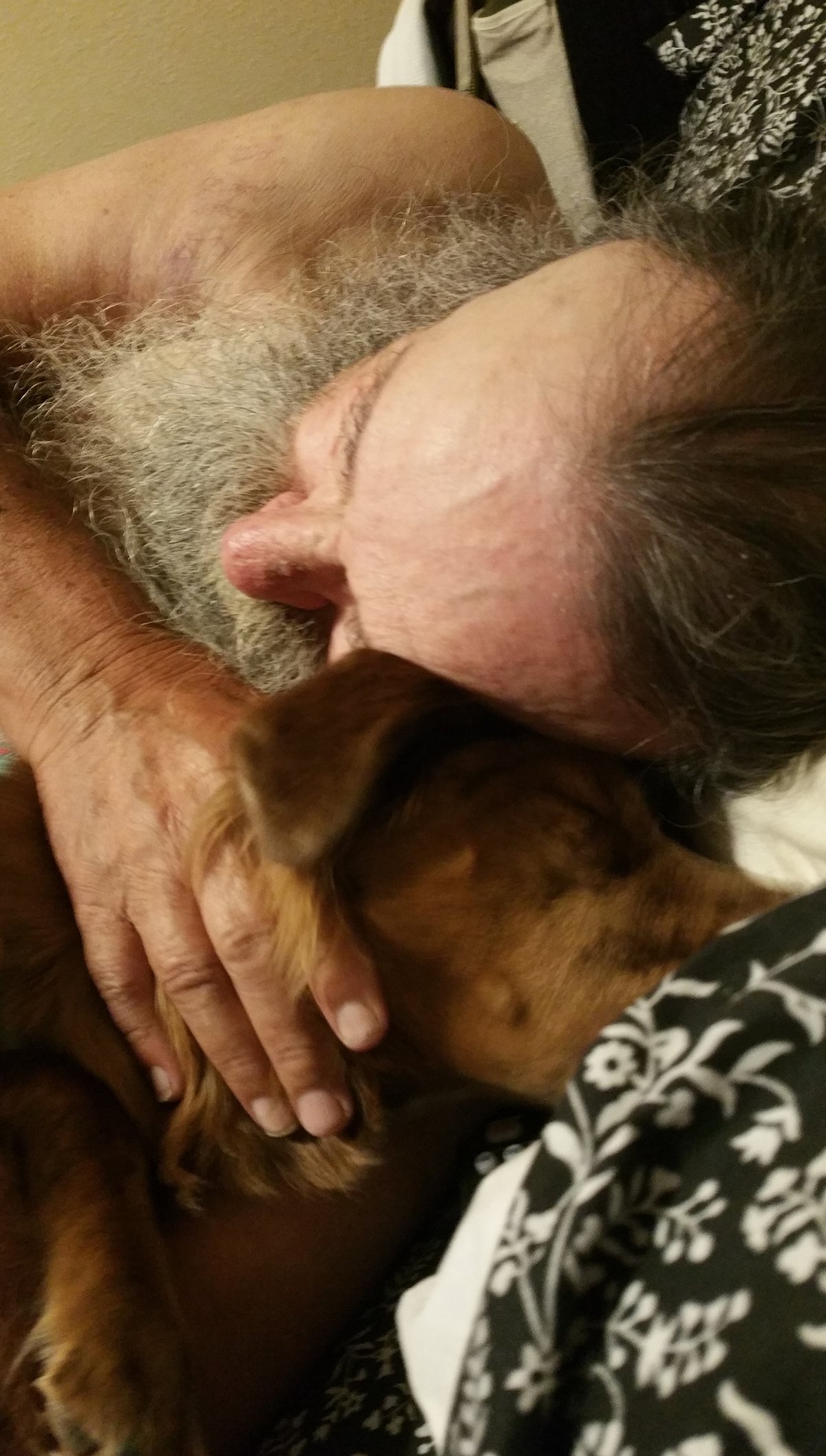 Pat Henry Williams — photo 12