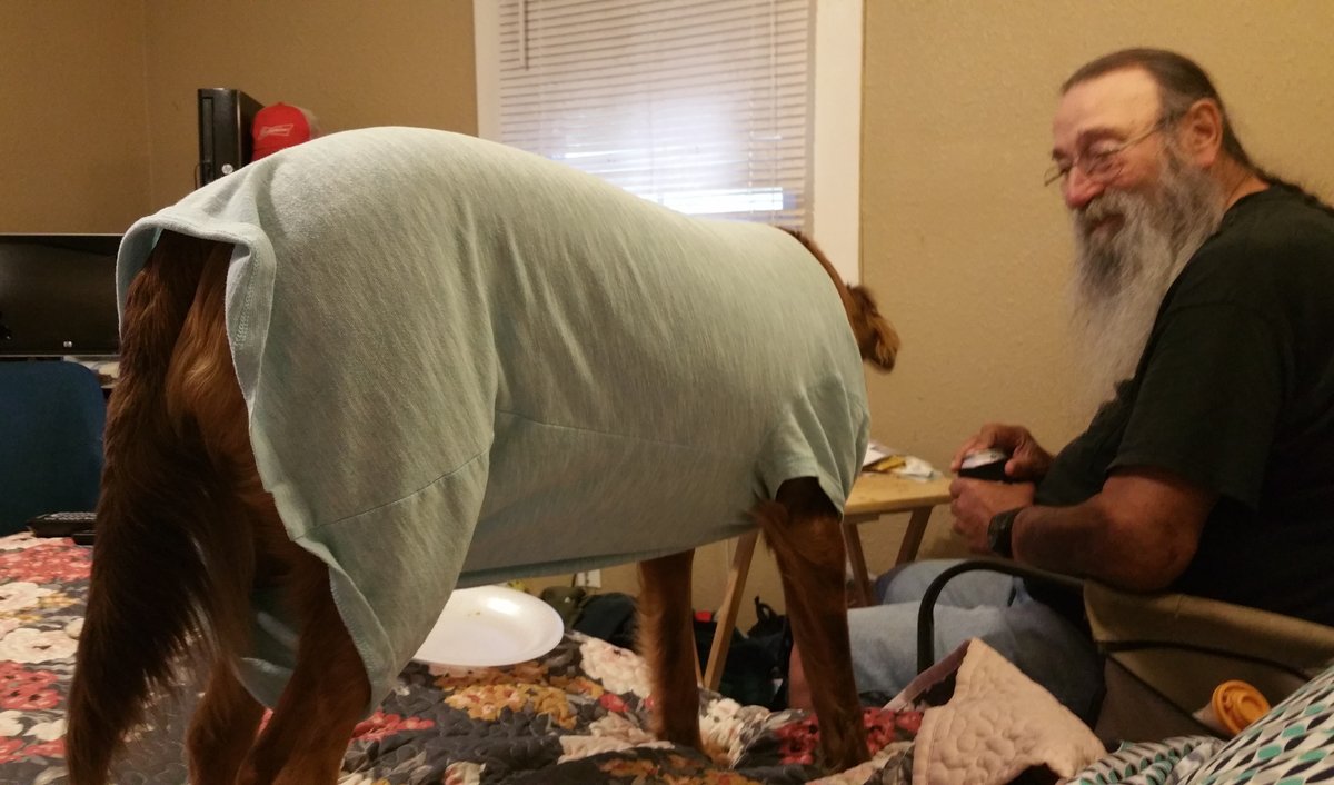 Pat Henry Williams — photo 11