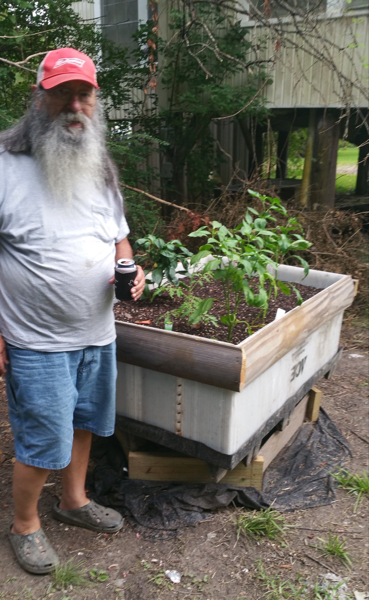 Pat Henry Williams — photo 13