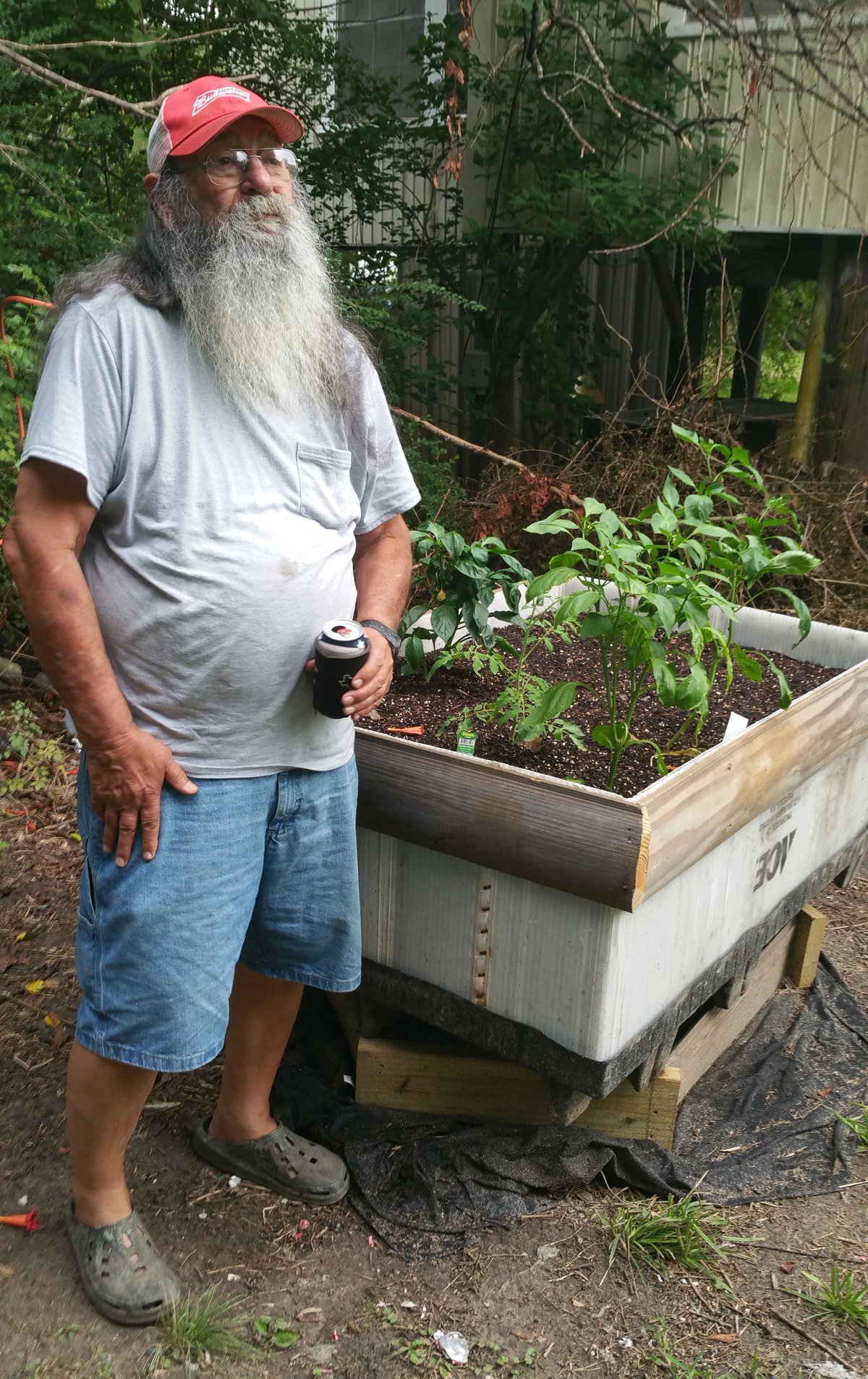 Pat Henry Williams — photo 14