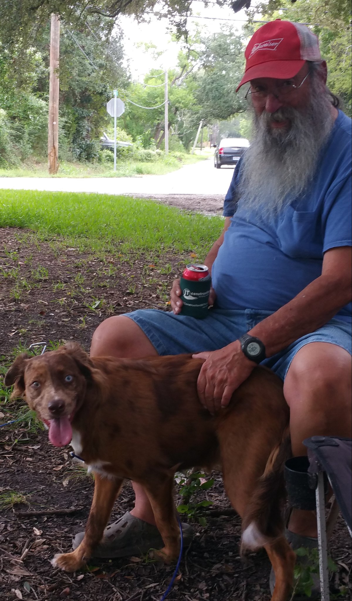 Pat Henry Williams — photo 15