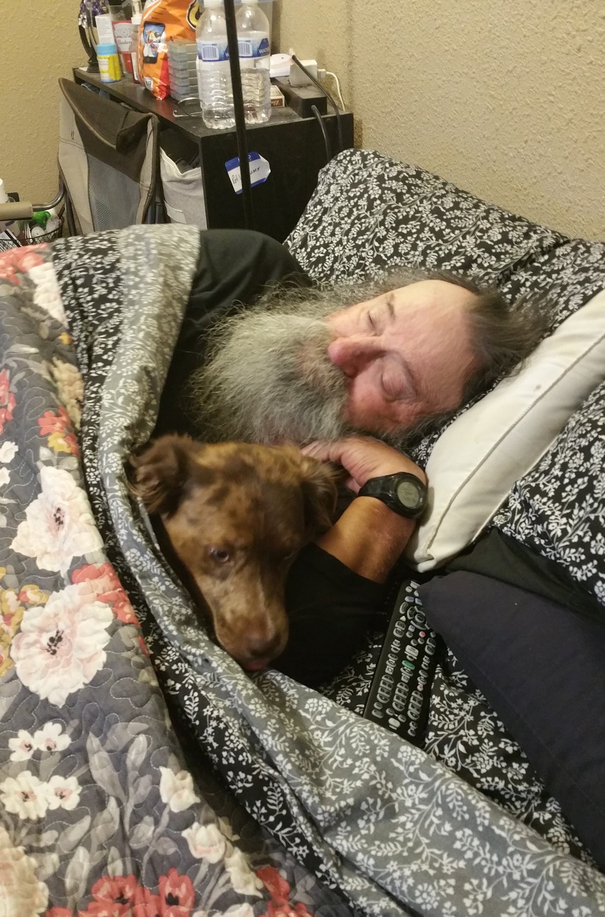 Pat Henry Williams — photo 22