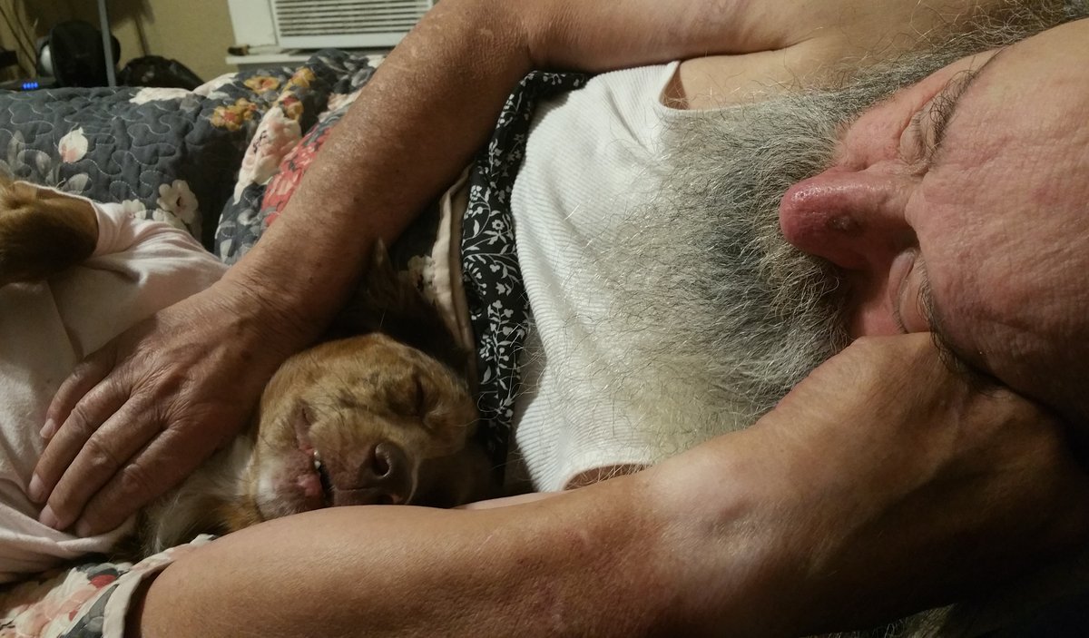 Pat Henry Williams — photo 21