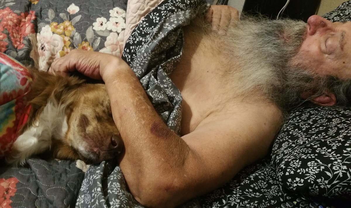 Pat Henry Williams — photo 26