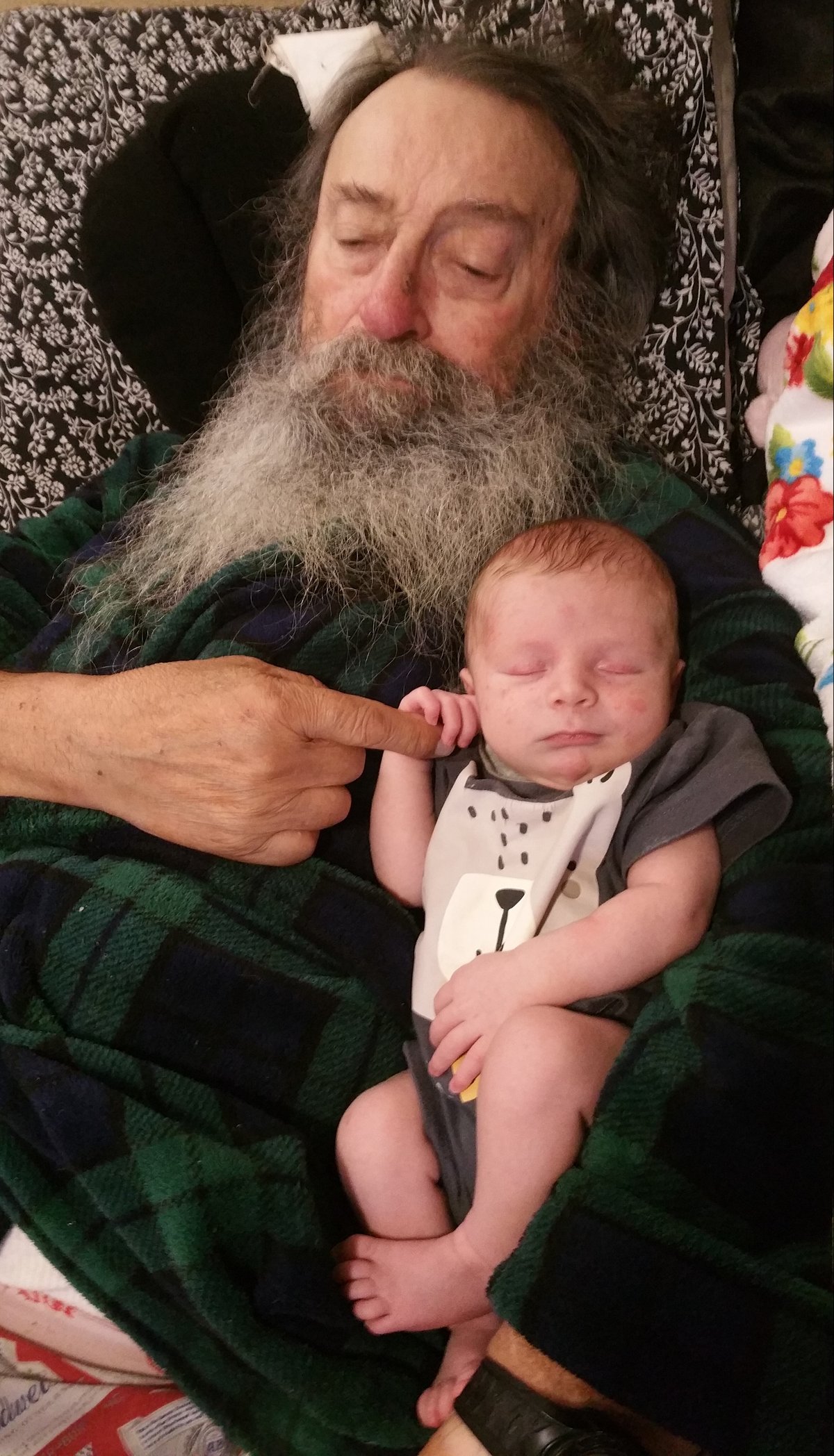 Pat Henry Williams — photo 30