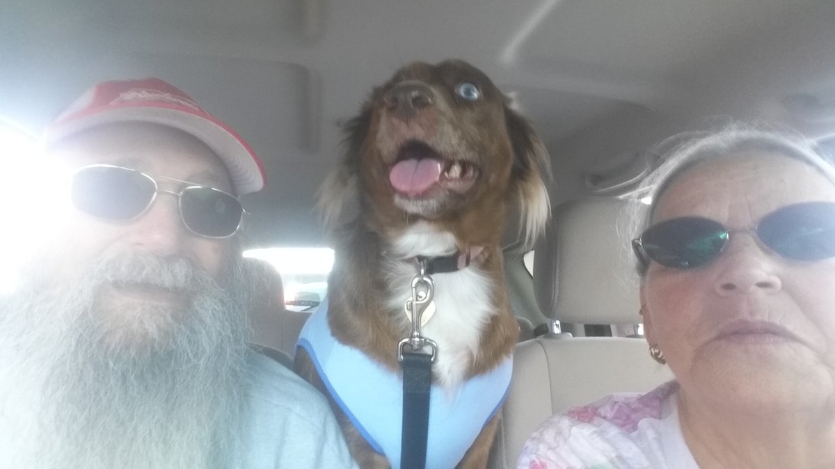 Pat Henry Williams — photo 41