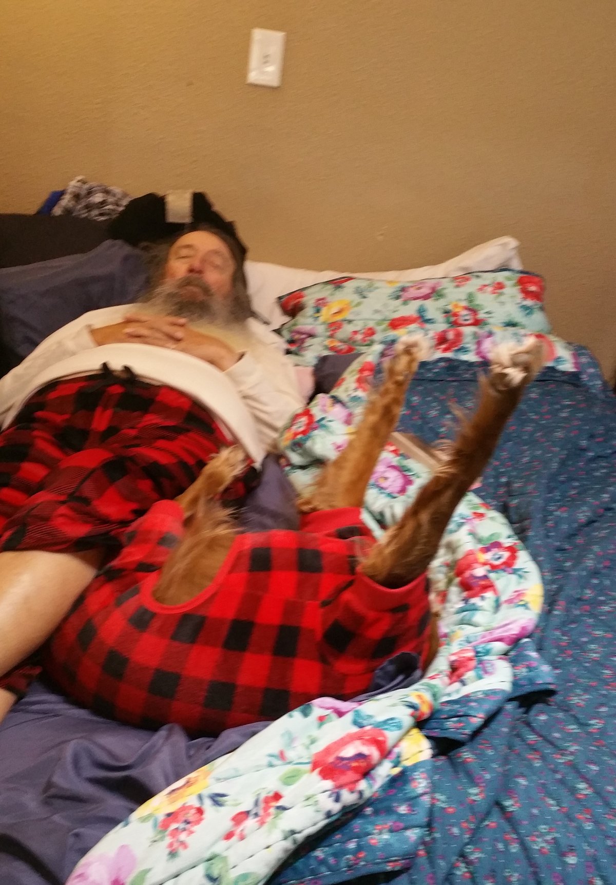 Pat Henry Williams — photo 45