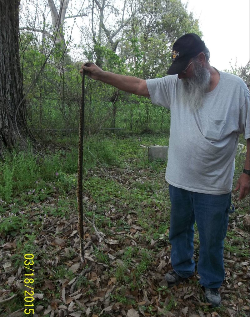 Pat Henry Williams - Photo 54