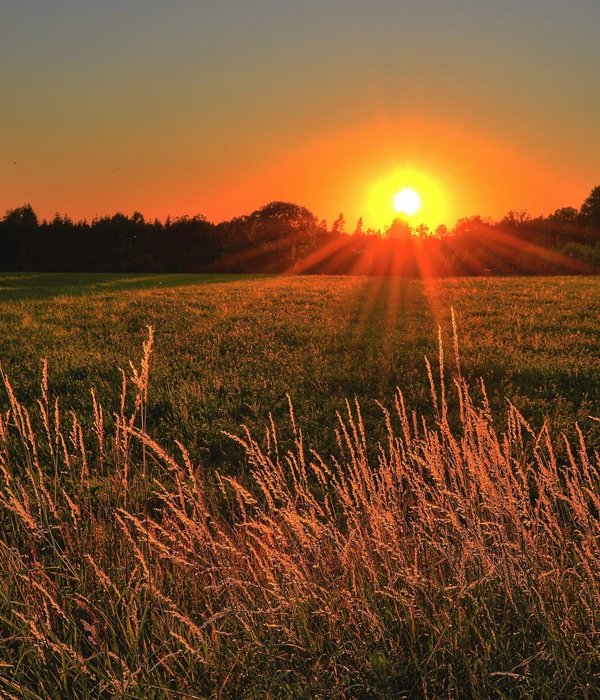 Donald "Don" James Campbell