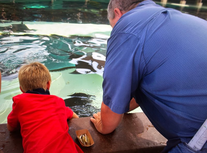 William "Kim" Bryant - Photo 61