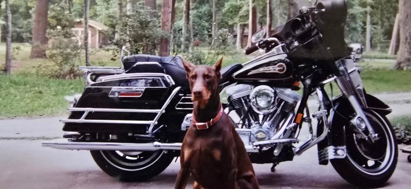 William "Kim" Bryant - Photo 80