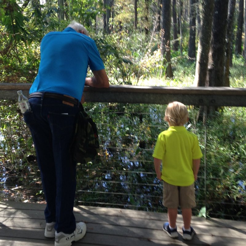 James Lewis Scott - Photo 18