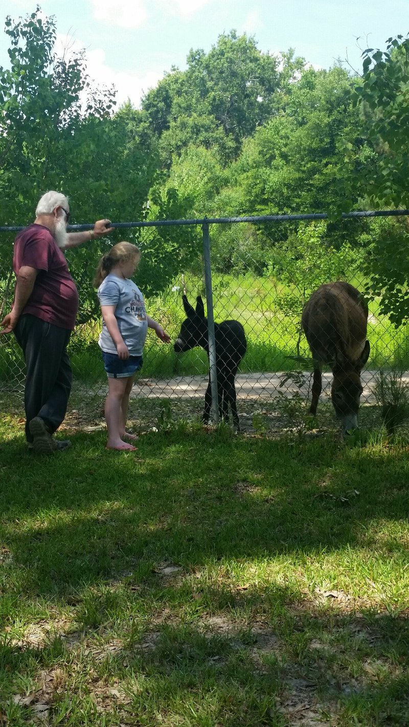 George William Trigg - Photo 69