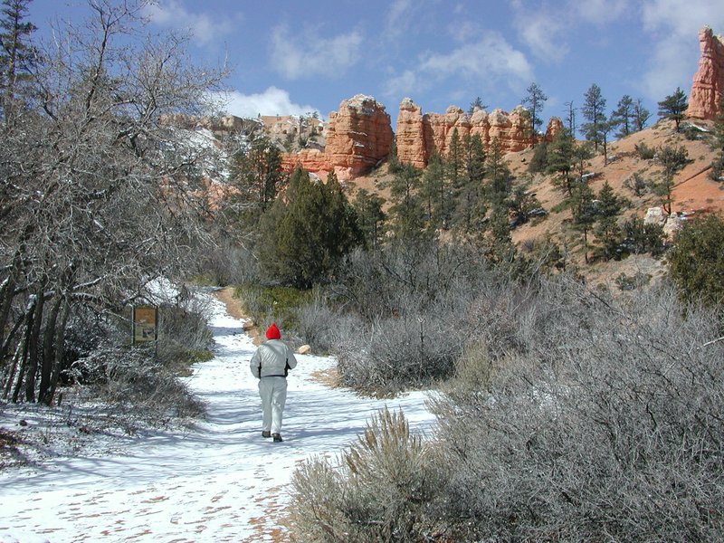 John E. Phelps - Photo 41