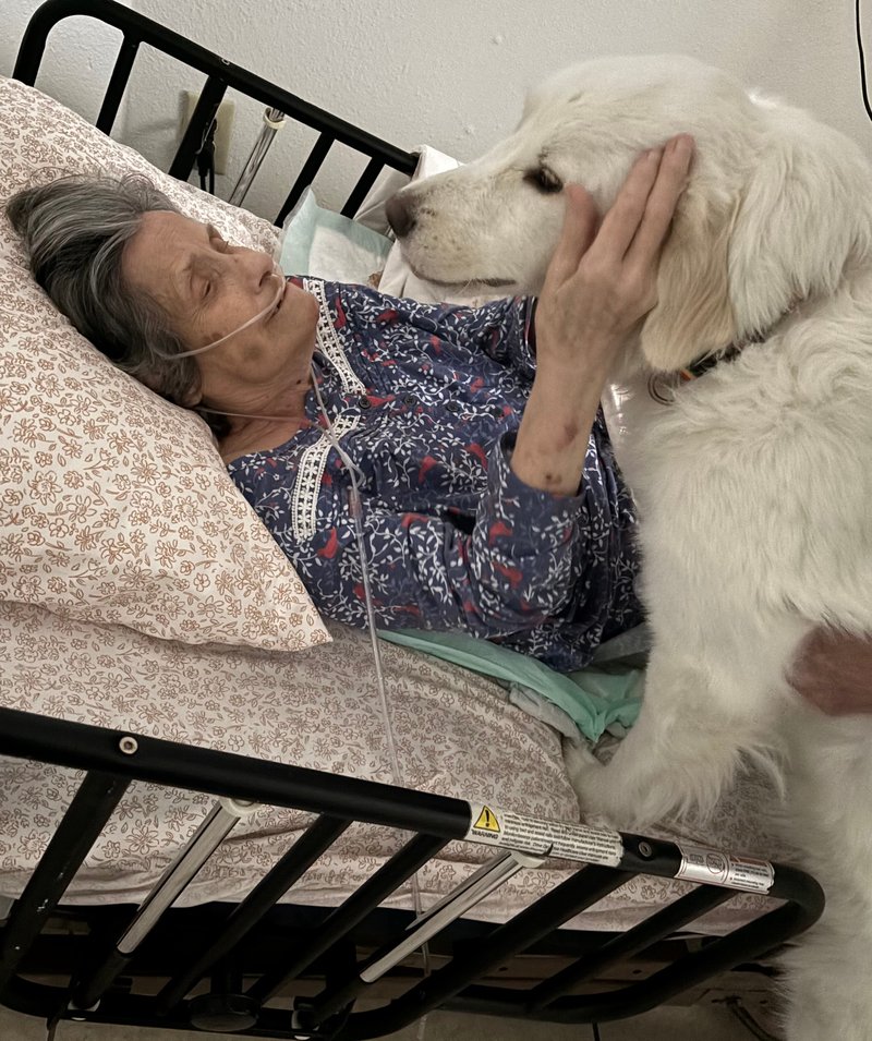 Anita Janeanne King - Photo 26