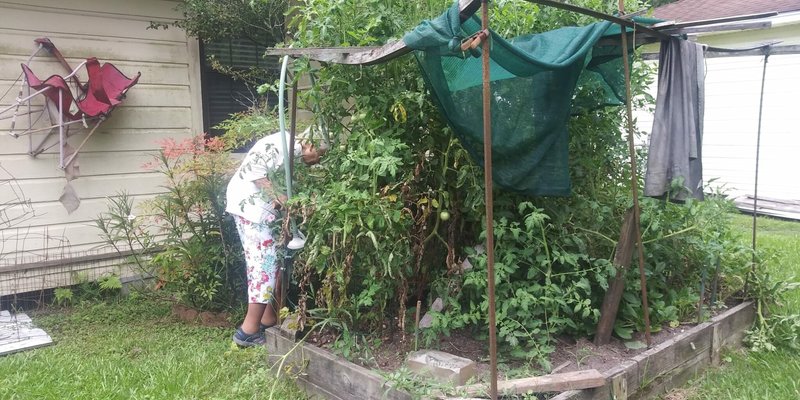 Margene Smith Mitchell - Photo 23