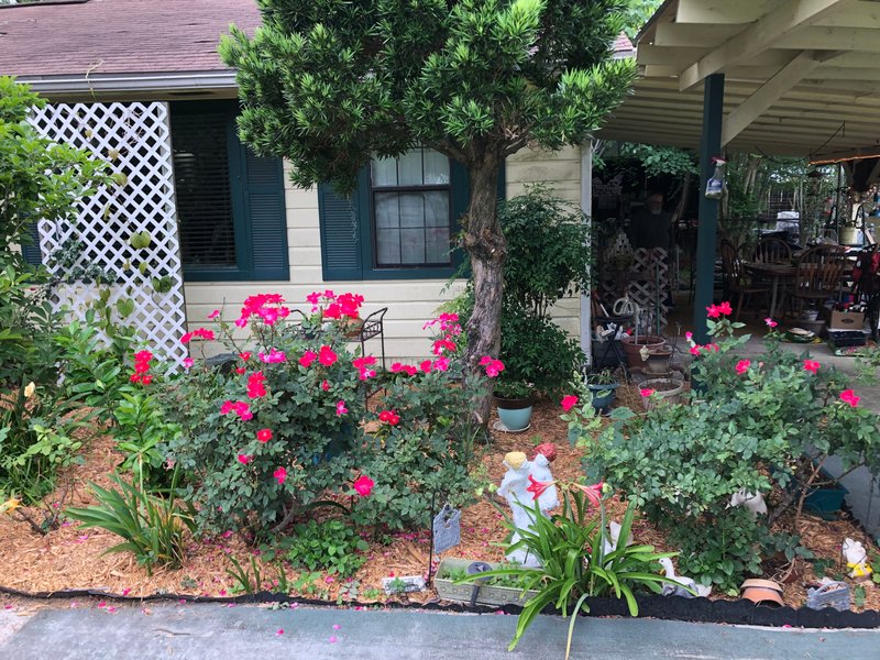 Margene Smith Mitchell - Photo 41