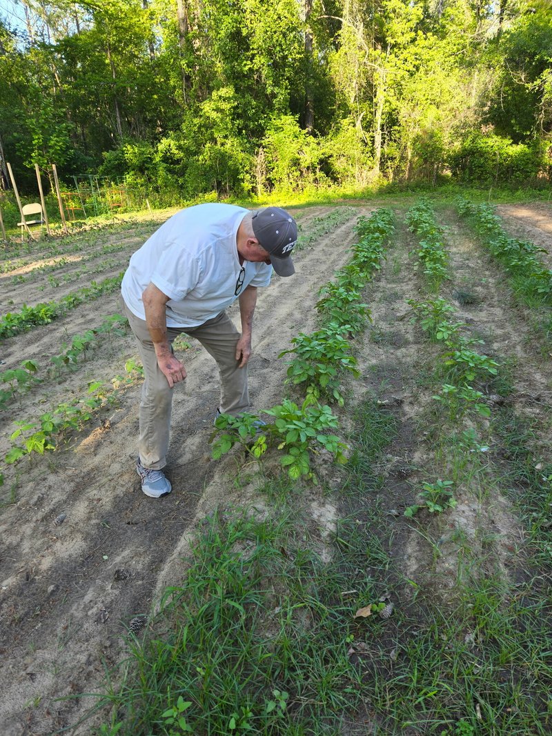 Wade Lynn Nelms - Photo 10