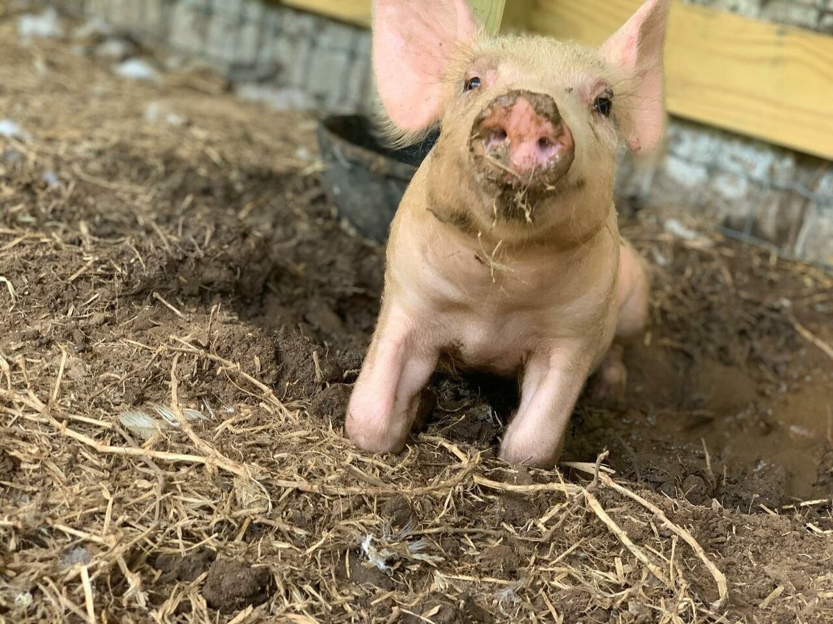 Lisa Marie Brayton Stanley-Granger — photo 10