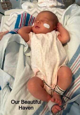 Lisa Marie Brayton Stanley-Granger — photo 64