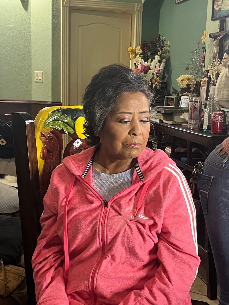 Sanjuana Ibarra - Photo 45