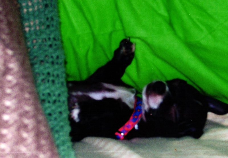 Phillip Joseph Todora, Jr. - Photo 63