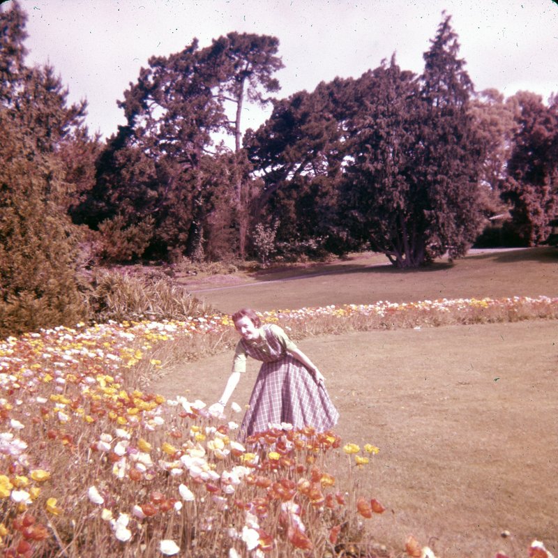 Jack N. Burney - Photo 12