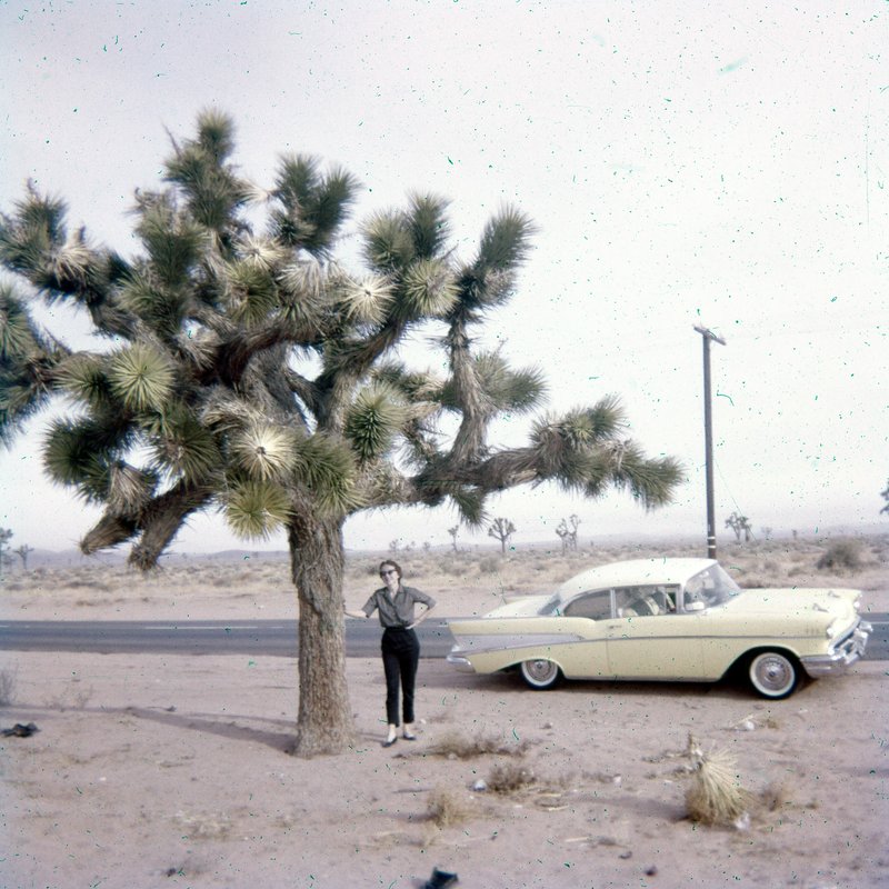 Jack N. Burney - Photo 57