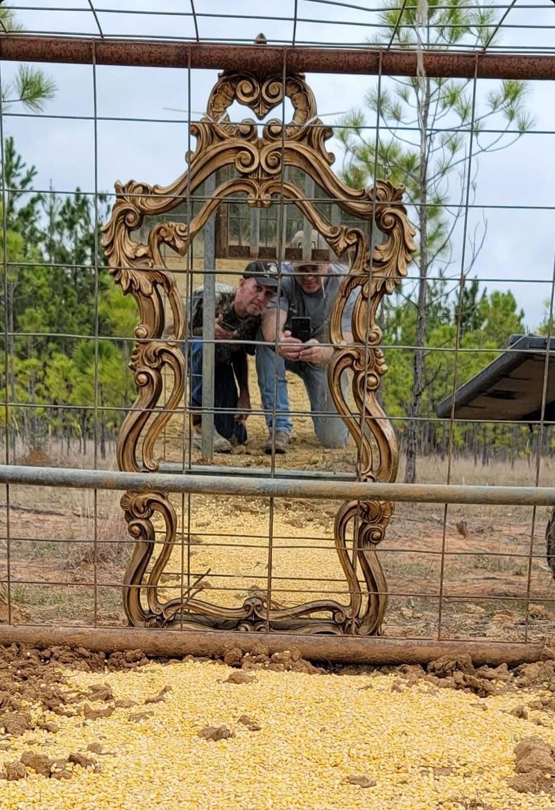 Jason Lee Laughlin - Photo 162