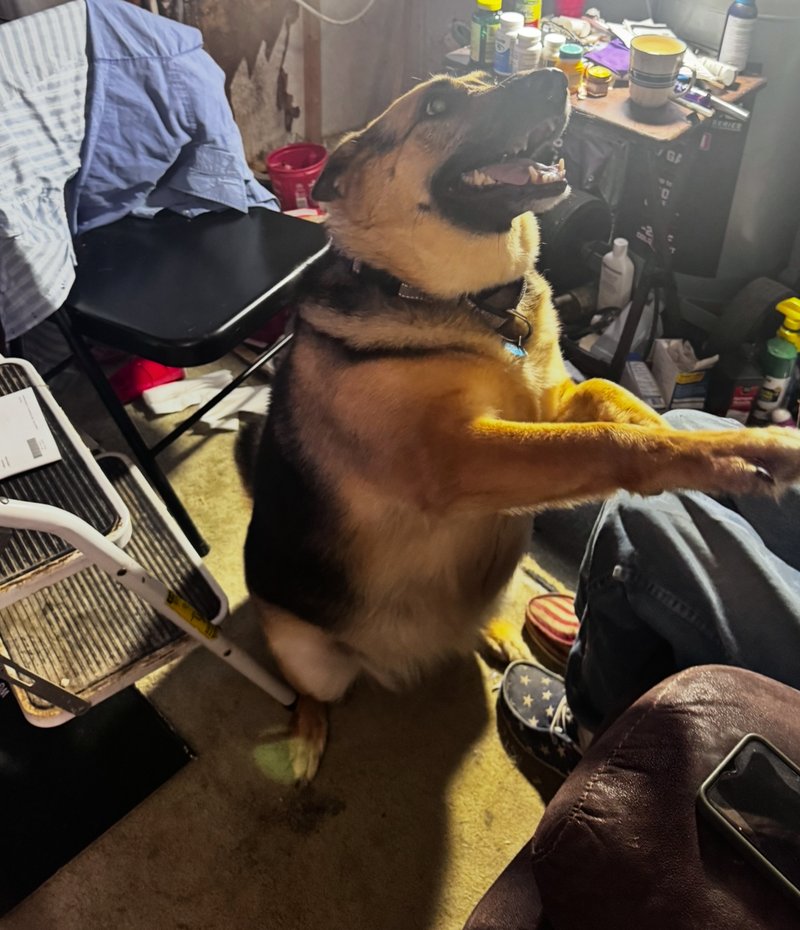 Jimmy Granger, Sr. - Photo 95