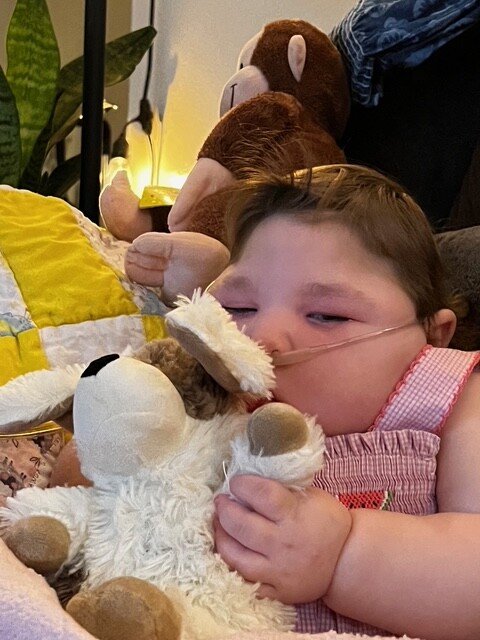 Adeline Emery Rae Johnson - Photo 43