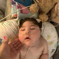 Adeline Emery Rae Johnson - Photo 177