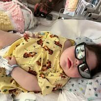 Adeline Emery Rae Johnson - Photo 217