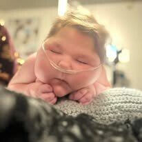 Adeline Emery Rae Johnson - Photo 240