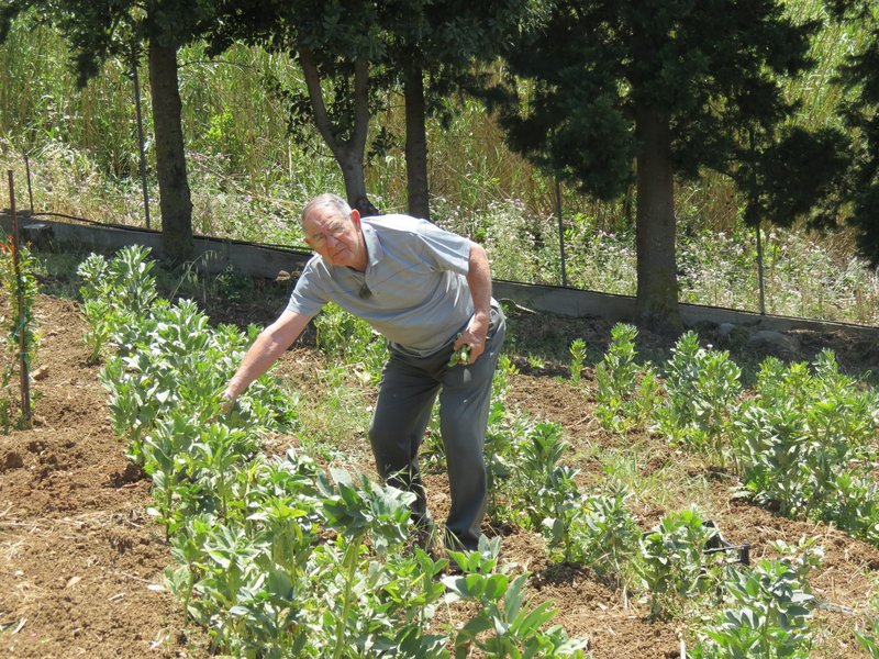 Samuel Joseph Lucia - Photo 194