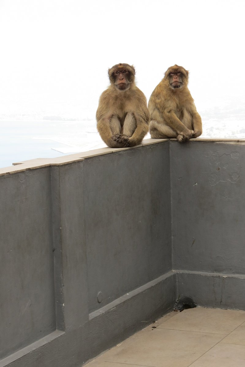 Samuel Joseph Lucia - Photo 199