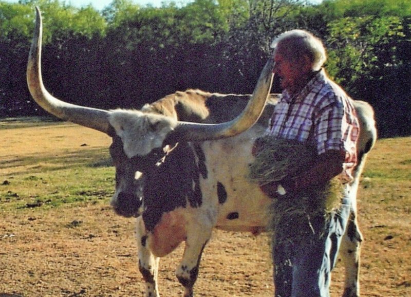 Woodrow Shelton Brown - Photo 31