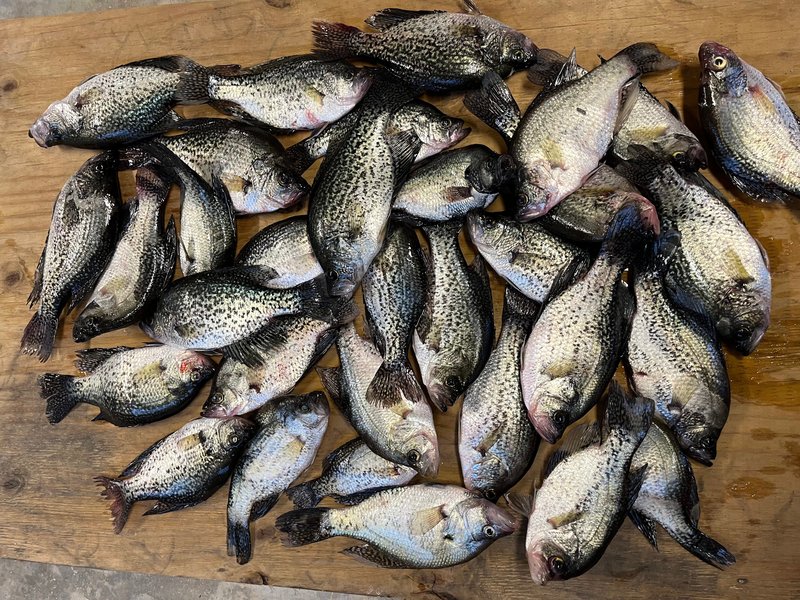 Allan Kent Henagan - Photo 85